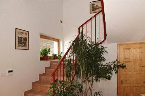 פץ' Liszt Apartman מראה חיצוני תמונה